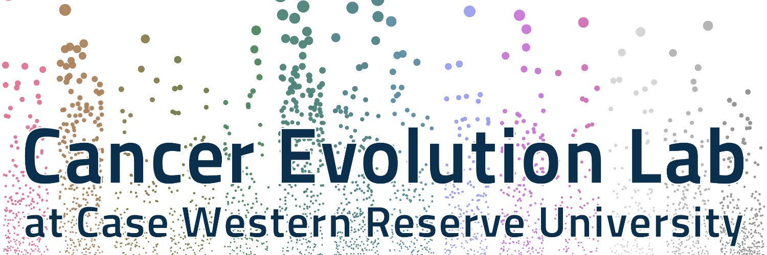 Chris McFarland banner