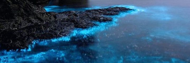 TMuchh's profile banner image