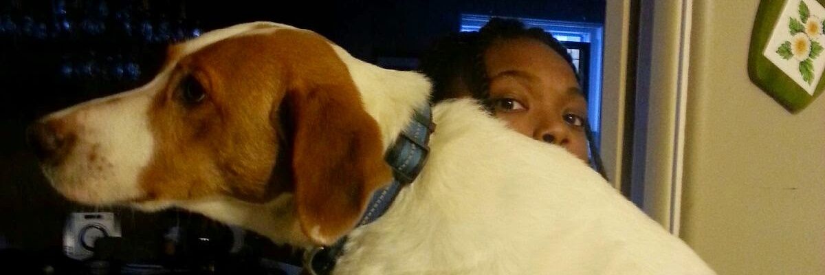 littlebitofawk's profile banner image