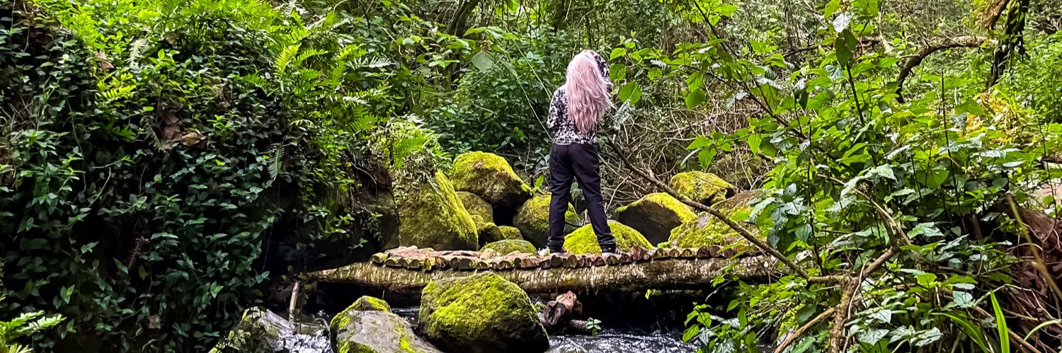 ani_carrillo_'s profile banner image
