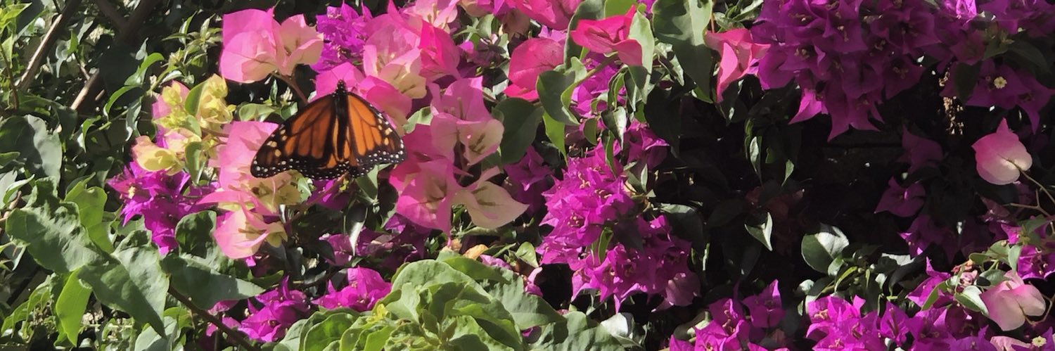 trinitykenney's profile banner image