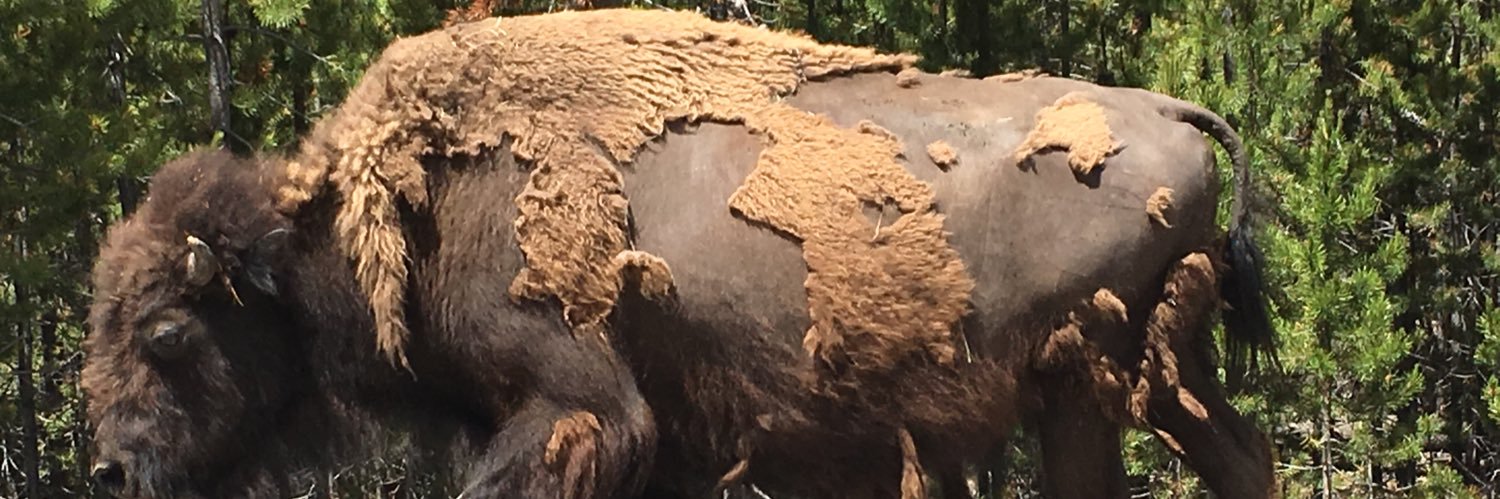 BrettWThompson's profile banner image