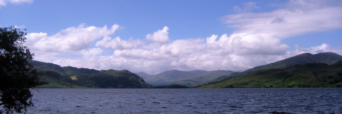 LouiseRyan14's profile banner image
