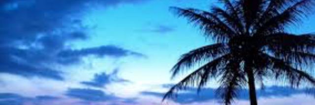 florencia banner