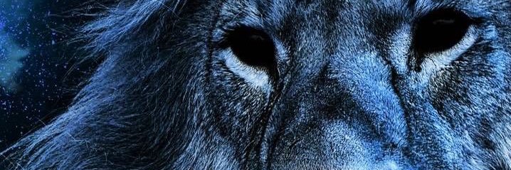 Ceraugusto's profile banner image