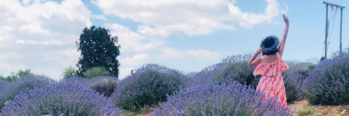lale banner