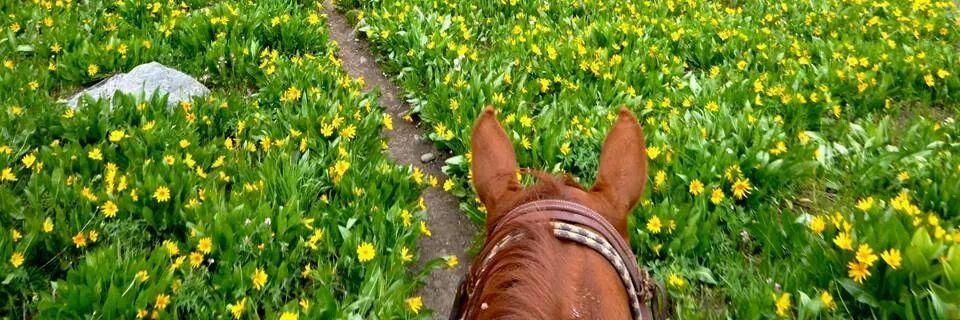GERALBERMOR's profile banner image