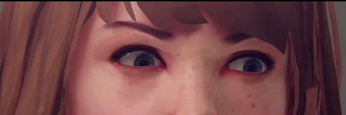Lucca banner