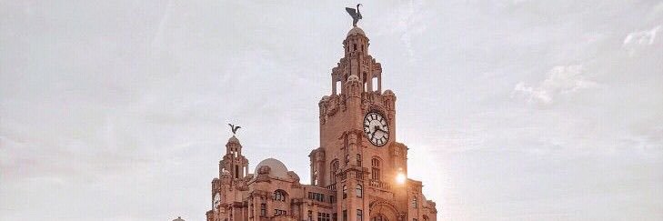Logan_Steen's profile banner image