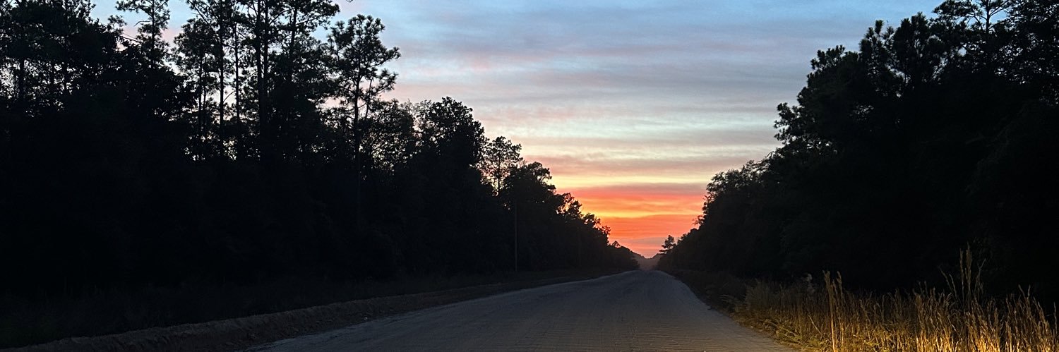 TaylorMaeeee's profile banner image