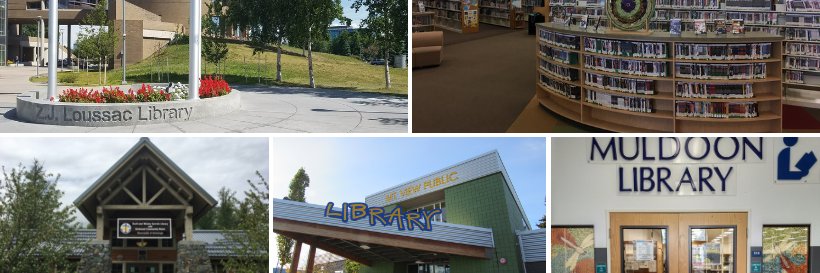 Anchorage Public Library banner