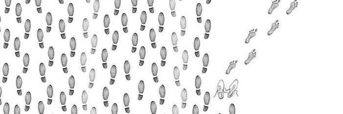 Everywhere Birder banner