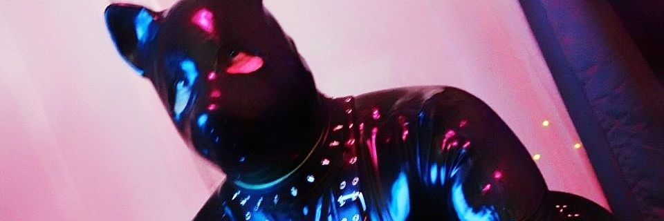 pupbobo's profile banner image