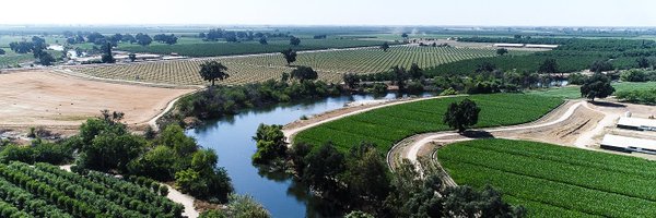 kingsrivercd Profile Banner