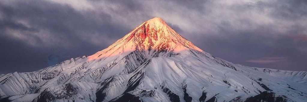دنی باک banner