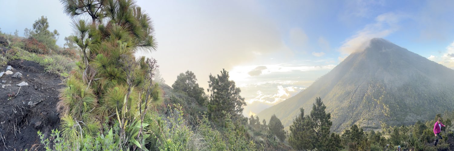 Mohammed Al-Refaie banner