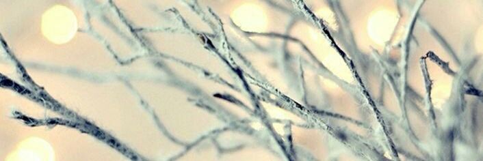 melyssaanicole's profile banner image