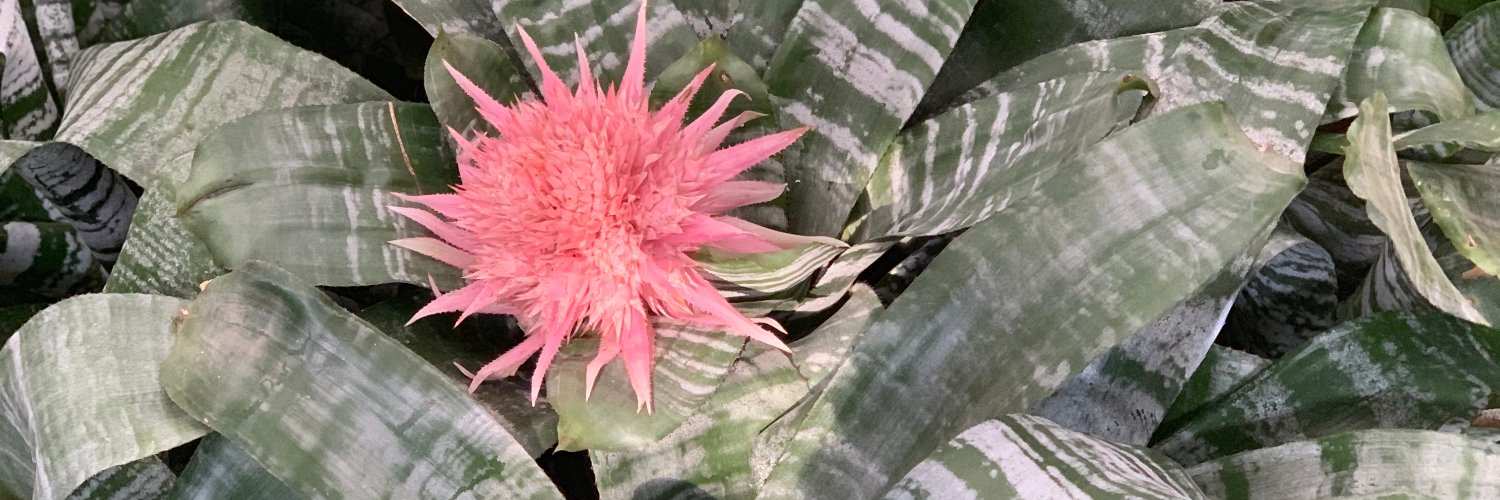 Jessica Malcolm banner