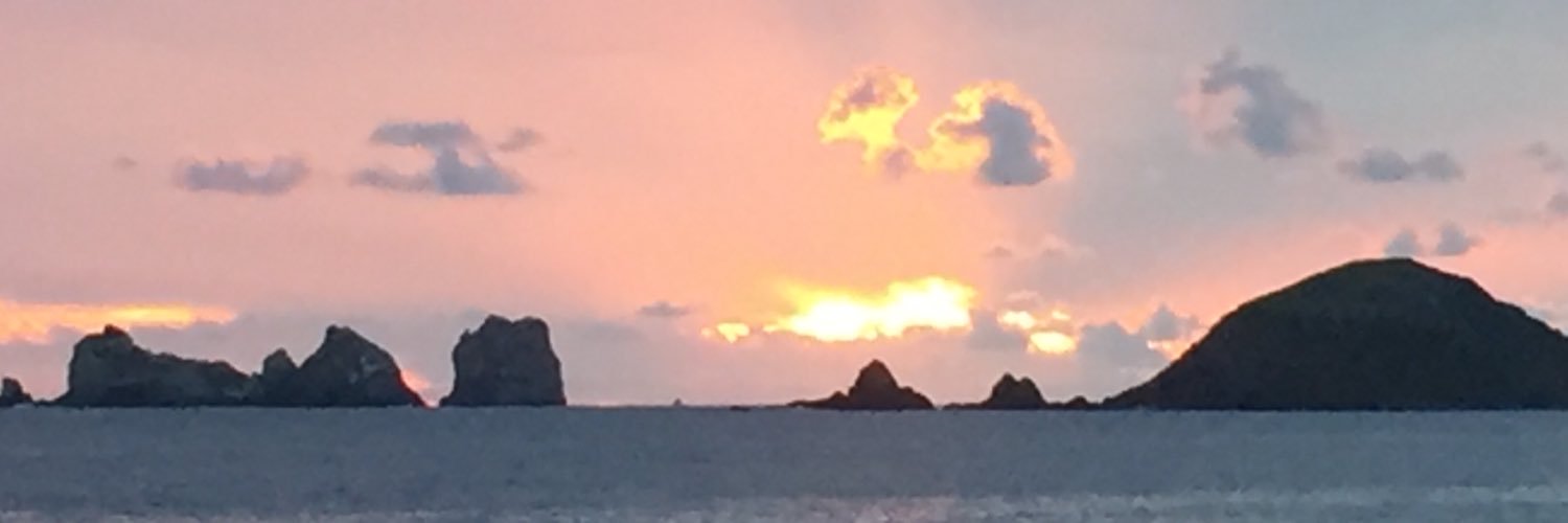 rodrigenrique's profile banner image