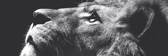 Crazy08Miguel's profile banner image