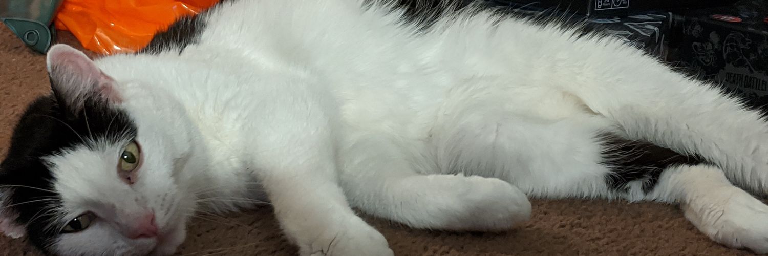Tefferi6411's profile banner image