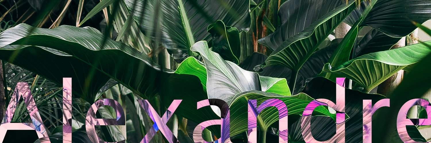 whataboutalex's profile banner image