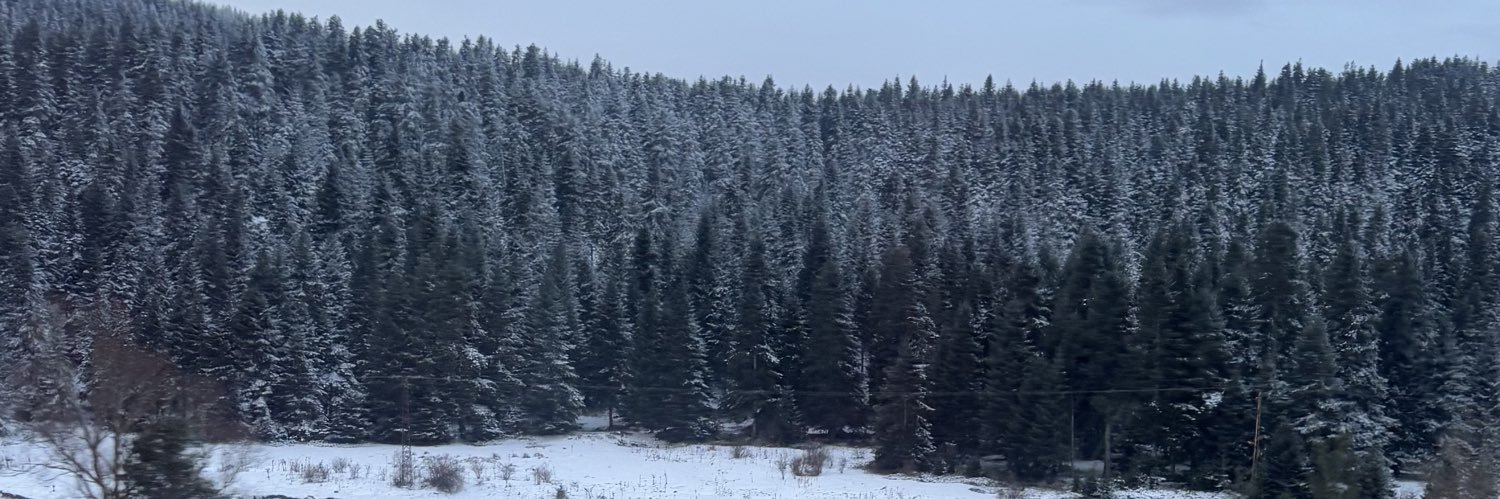 buffalotlmg's profile banner image