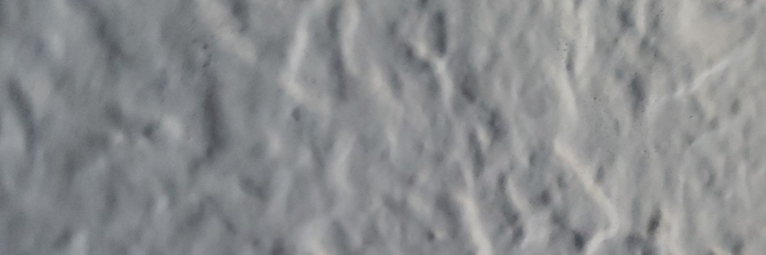 TertianBigfoot4🌊 banner