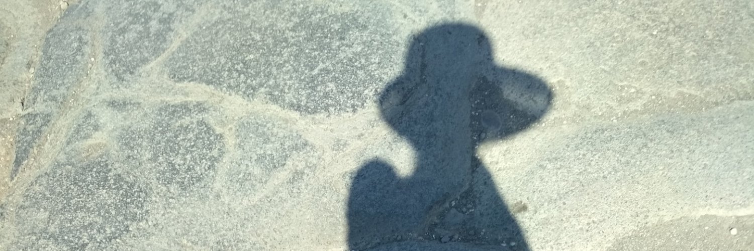 Pytiufa's profile banner image