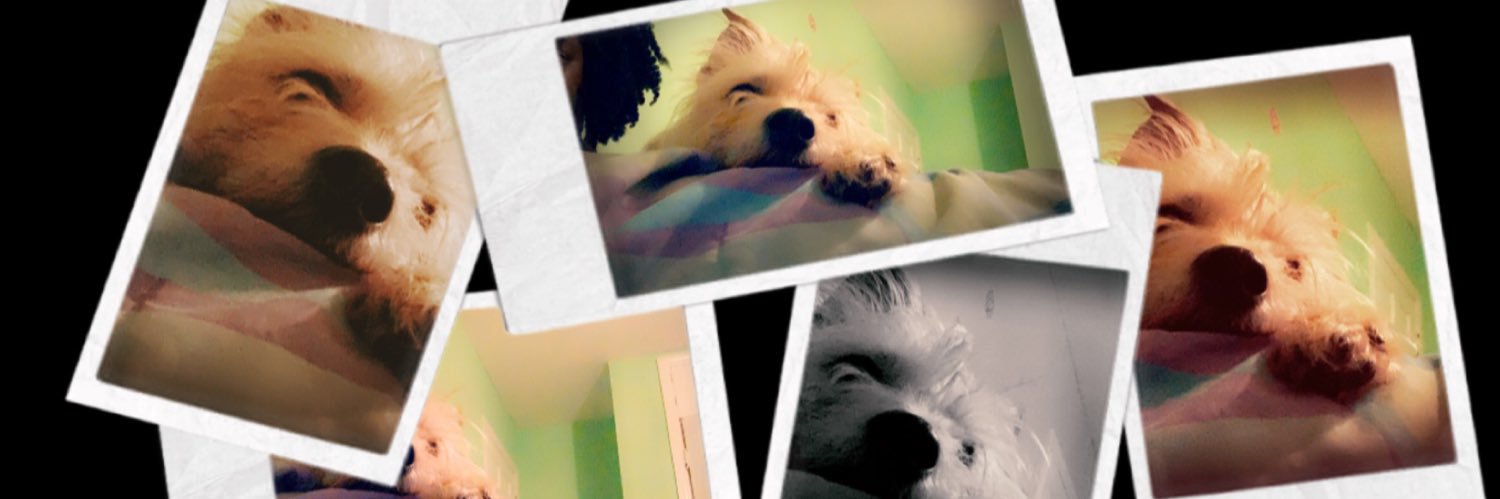 Fluffy_Pancake_'s profile banner image