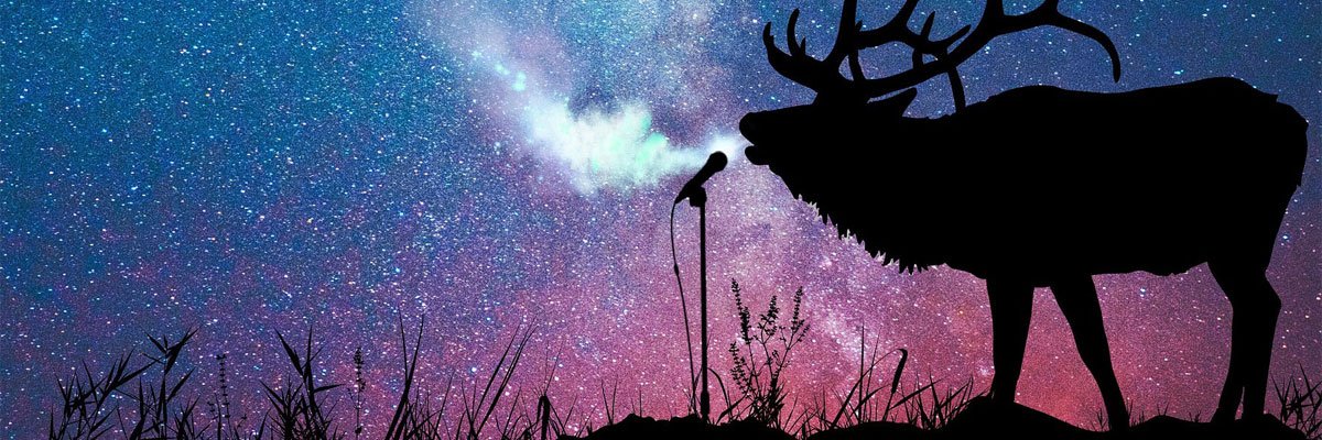 DaddyElk's profile banner image