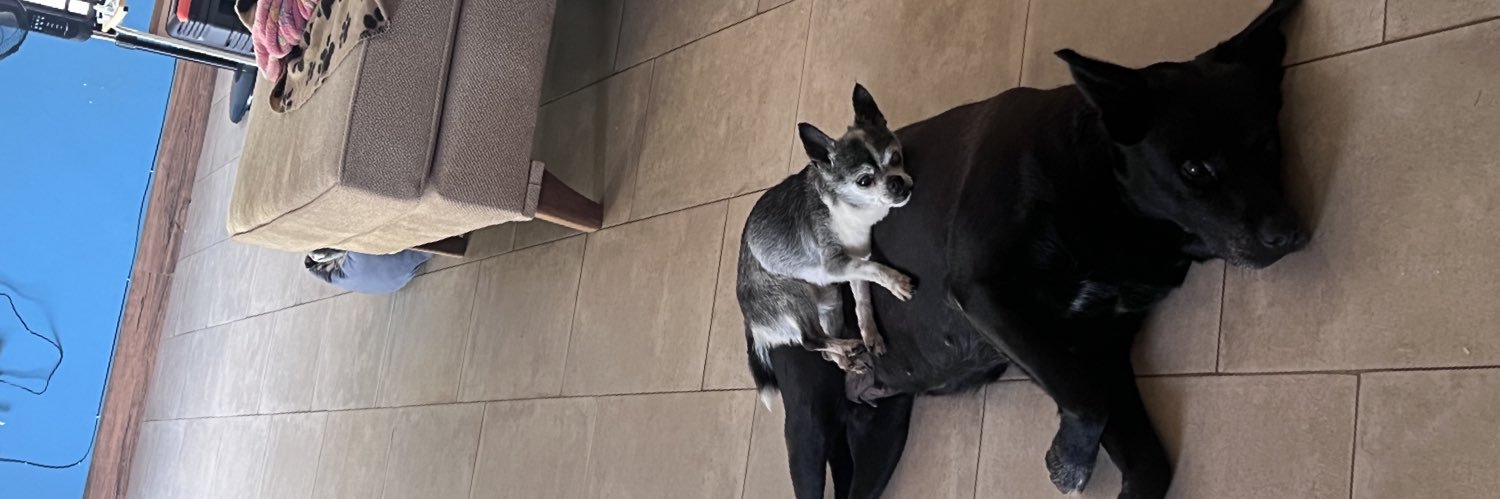 Kymmberli Stowe banner