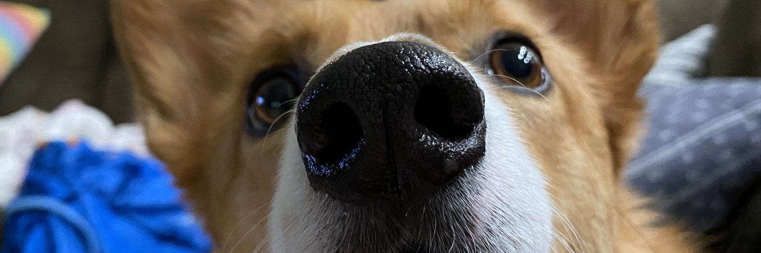E_ray91's profile banner image