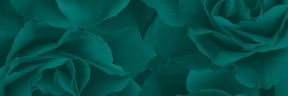 xmikss's profile banner image