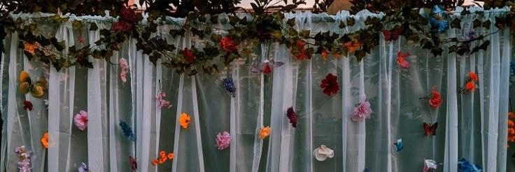 sofiasouz999's profile banner image