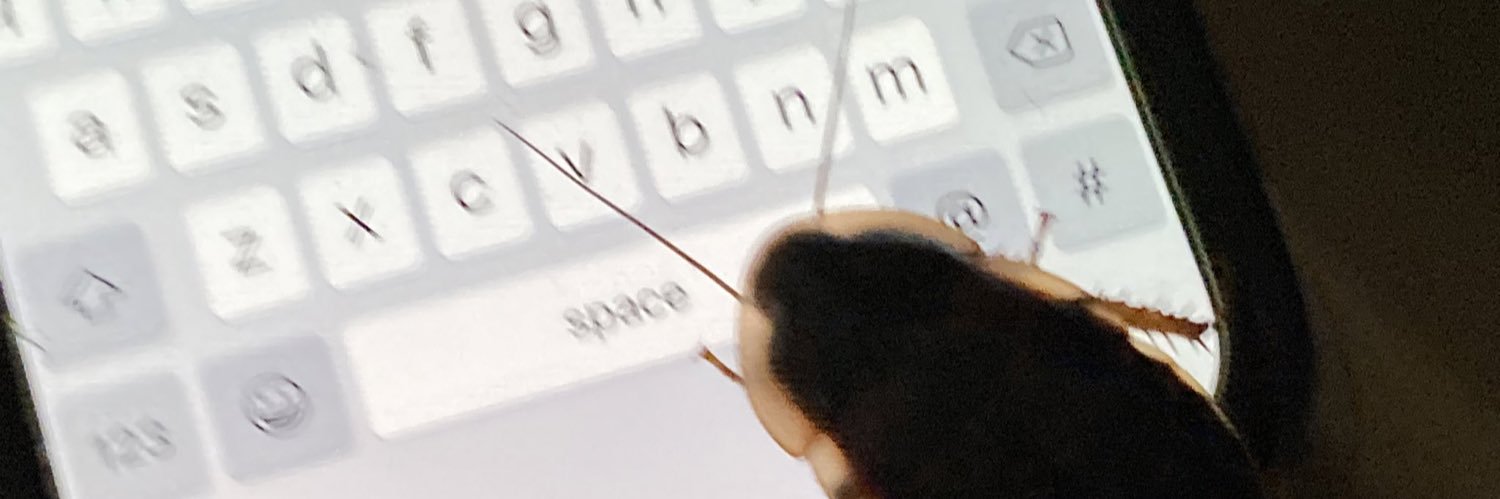 himynameiscaley's profile banner image