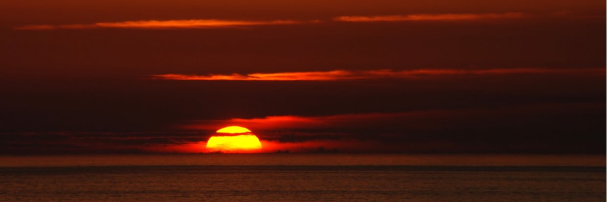 ChelsiUlrich's profile banner image