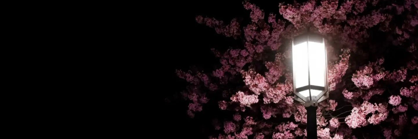 JulesiePham's profile banner image