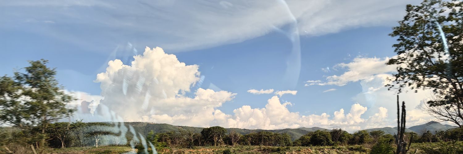 Lili banner