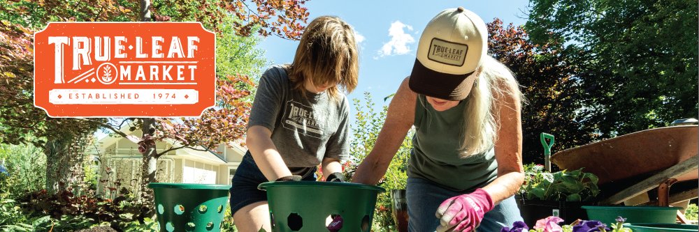 True Leaf Market banner