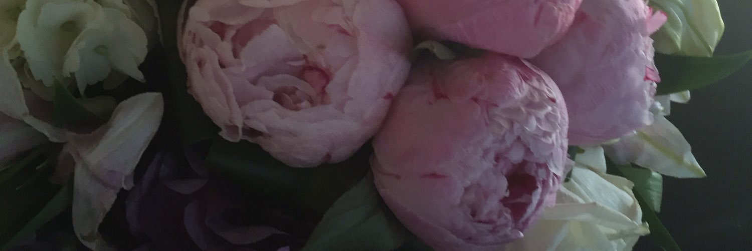 29Noni's profile banner image