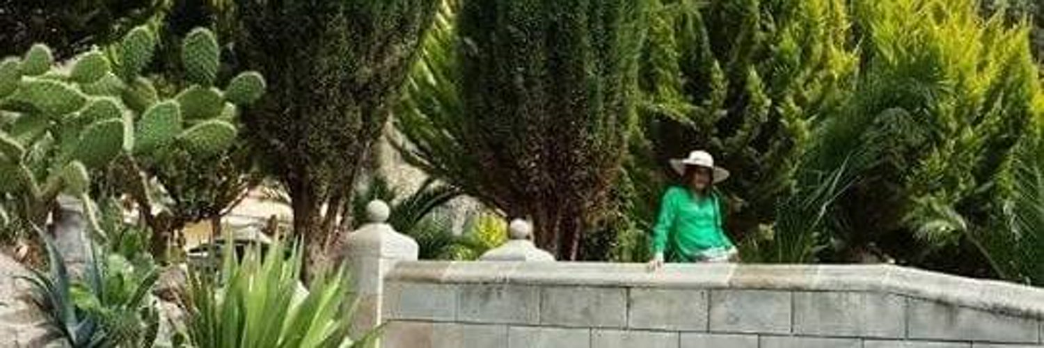 Mercedes Fernández banner