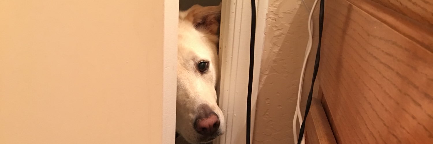 lanahbrock's profile banner image