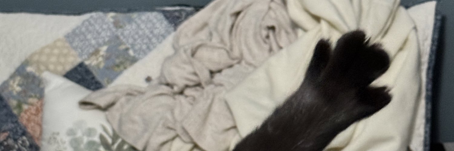 catyval29's profile banner image