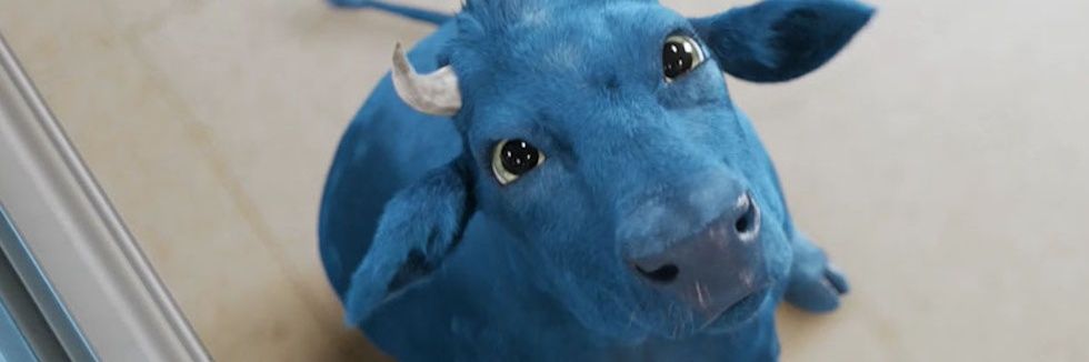 sandravangen's profile banner image