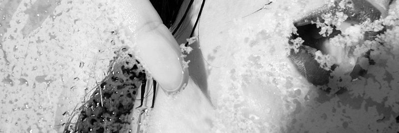 siennax54's profile banner image