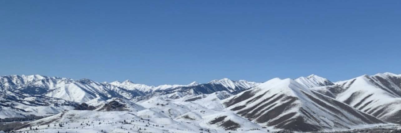 timmyselfridge's profile banner image