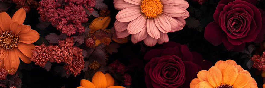 HunnieTheseDays's profile banner image