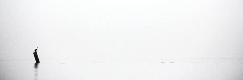 CamargoVF's profile banner image
