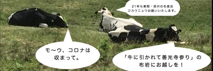 CrowofMachu's profile banner image